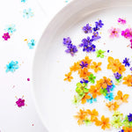 fleurs séchées naturelles bleu vert orange rose violet jaunes fleurs simples décoration diy bijoux