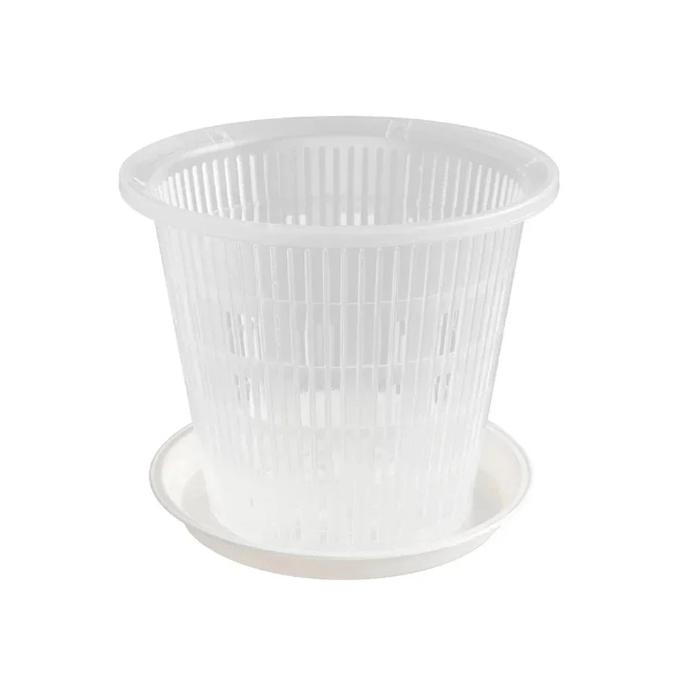 Pot transparent orchidée montrant les stomates d'aération