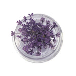 décorations nail art fleurs séchées violet rose vert rouge orange blanc naturel strass ongles