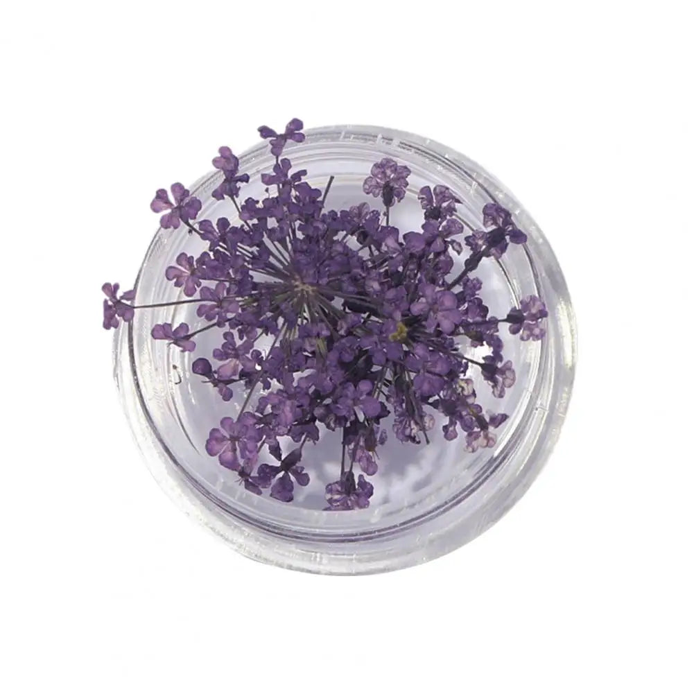 décorations nail art fleurs séchées violet rose vert rouge orange blanc naturel strass ongles
