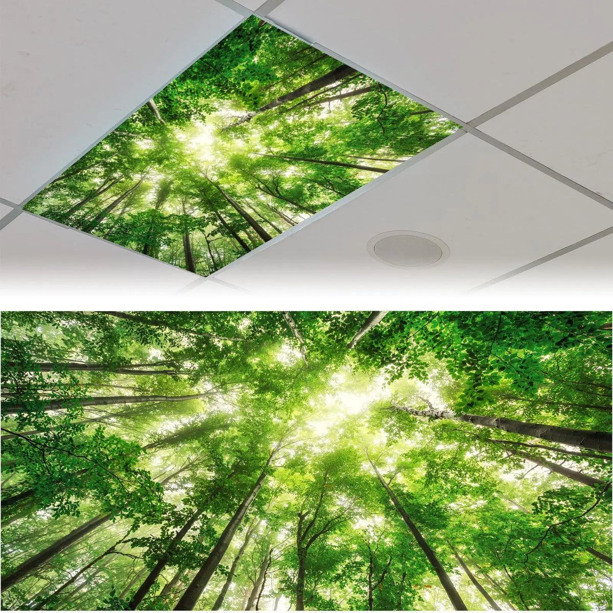 cache lumiere moderne nuages feuilles étoiles coraux adhésif bleu blanc vert noir