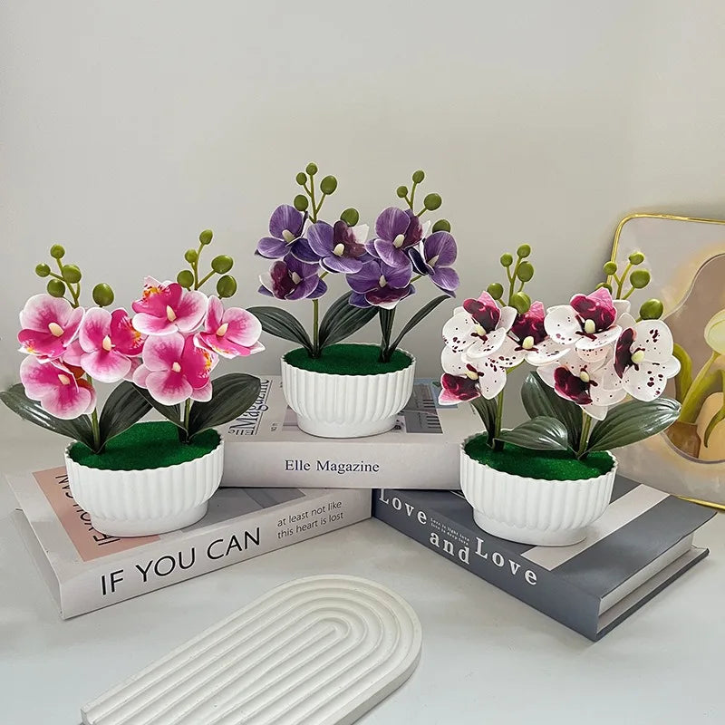 plantes artificielles fleurs orchidées pot blanc couleurs bleu rose vert moderne minimalisteintérieur salon chambre