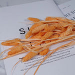 plumes artificielles pelucheuses couleurs vives décoration maison anniversaire baby shower festive table arrangementintérieur