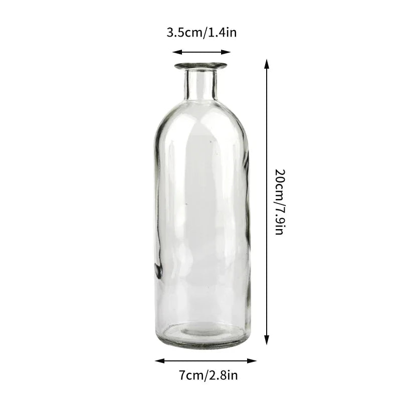 vase verre transparent moderne rose décoration intérieur hydroponique fleuri table studio