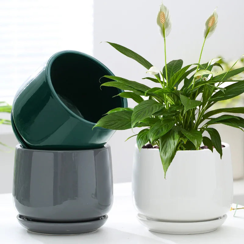 cache pots céramique modernes vert foncé gris blanc plateau support extra large large medium