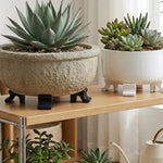 supports pots fleurs clips antidérapants marron noir blanc minimalistes moderne
