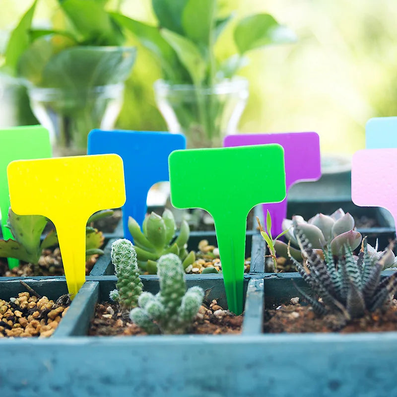 étiquettes plantes couleur moderne pratique jardin pot semis decoration bleu rose vert jaune violet