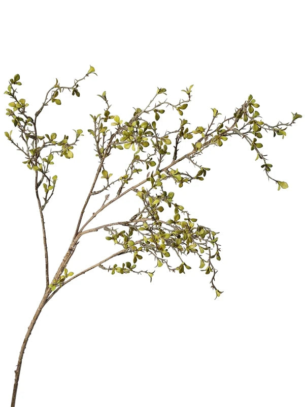 branche artificielle feuilles simples vase décoration intérieure naturelle minimaliste noir jaune rose violet bleu