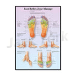 Ce poster illustre le concept du massage de la zone réflexe des pieds, détaillant les différentes zones du pied et leurs effets, indications et contre-indications.