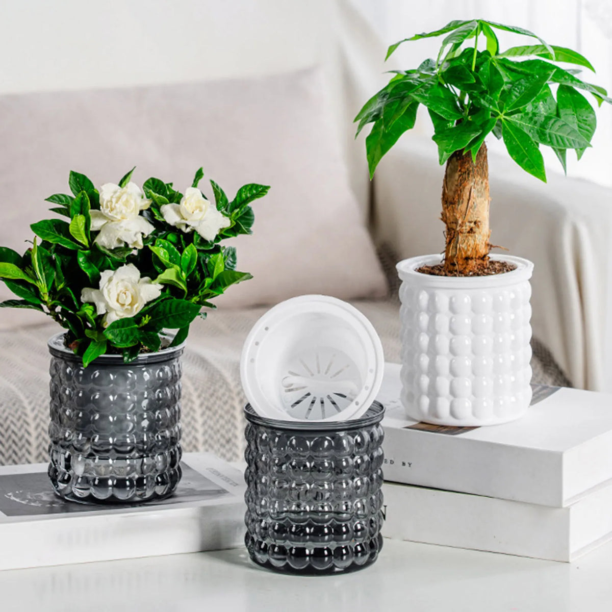 cache pot moderne gris foncé blanc bubbles plante verte absorption automatique hydroponie intérieur contemporain