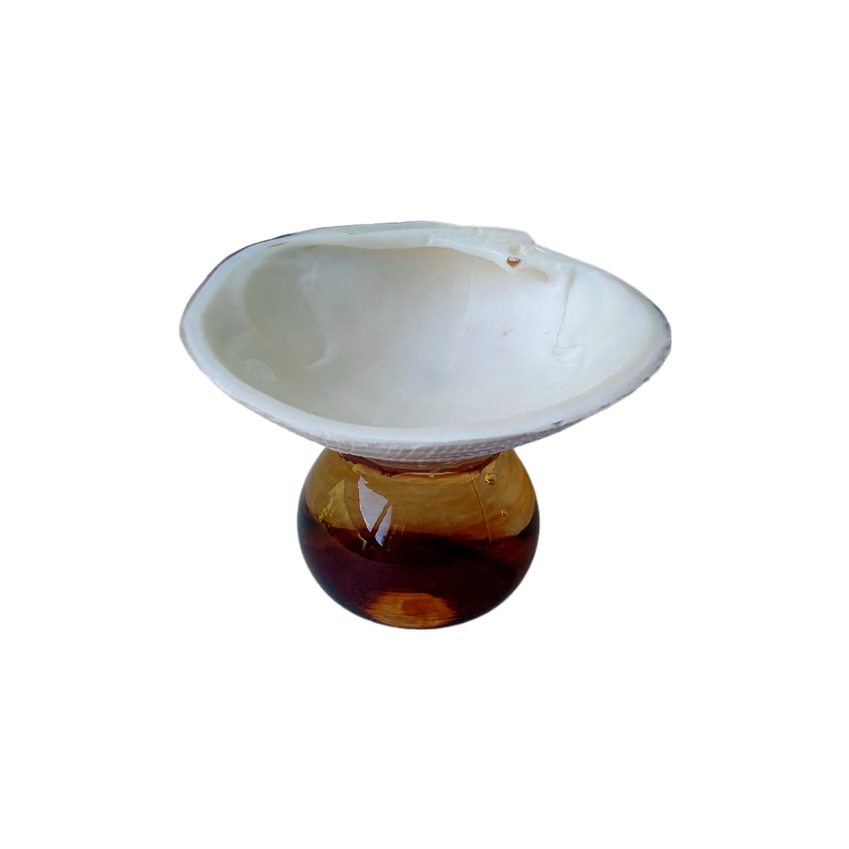 assiettes verre coquillages support fruits bijoux transparents naturels artisanal moderne