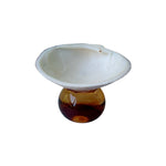 assiettes verre coquillages support fruits bijoux transparents naturels artisanal moderne
