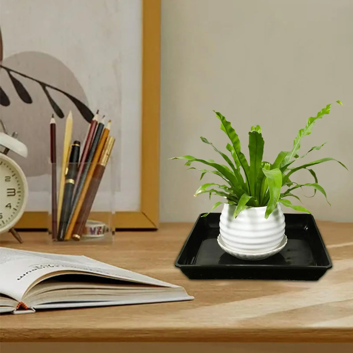 plateaux dengouttage plante pot fleur jardinage semis germination durable materiel plastique finition non enduite