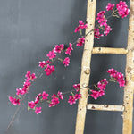 guirlande fleurs artificielles naturelles intérieur décoration maison blanc rose violet bleu rouge