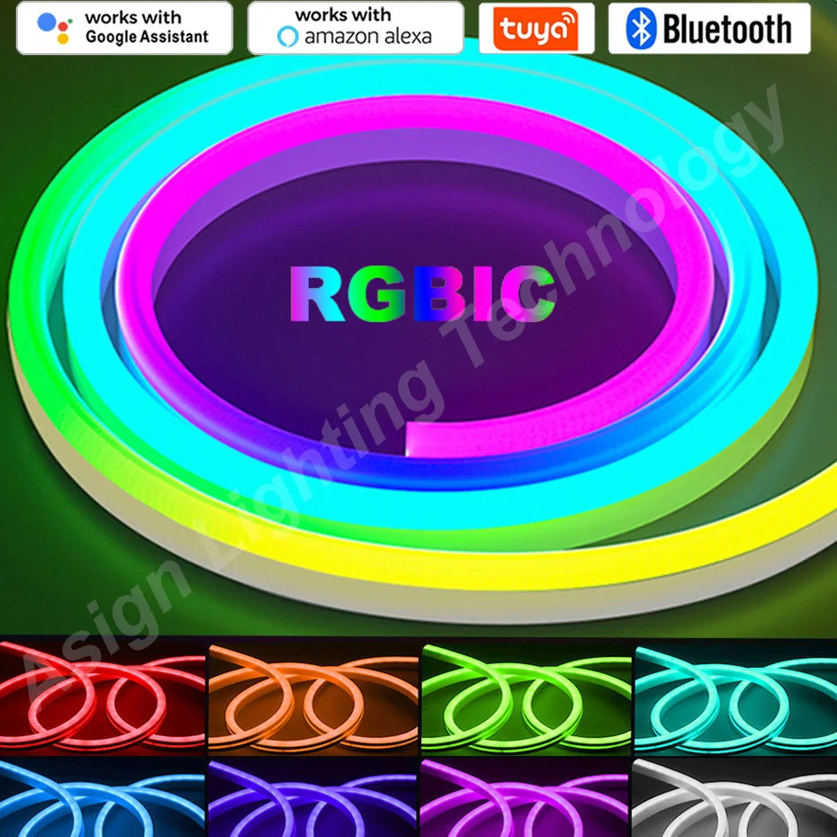 ruban led néon multicolore 12v 96leds smd controle bluetooth wifi tuya app moderne étanche