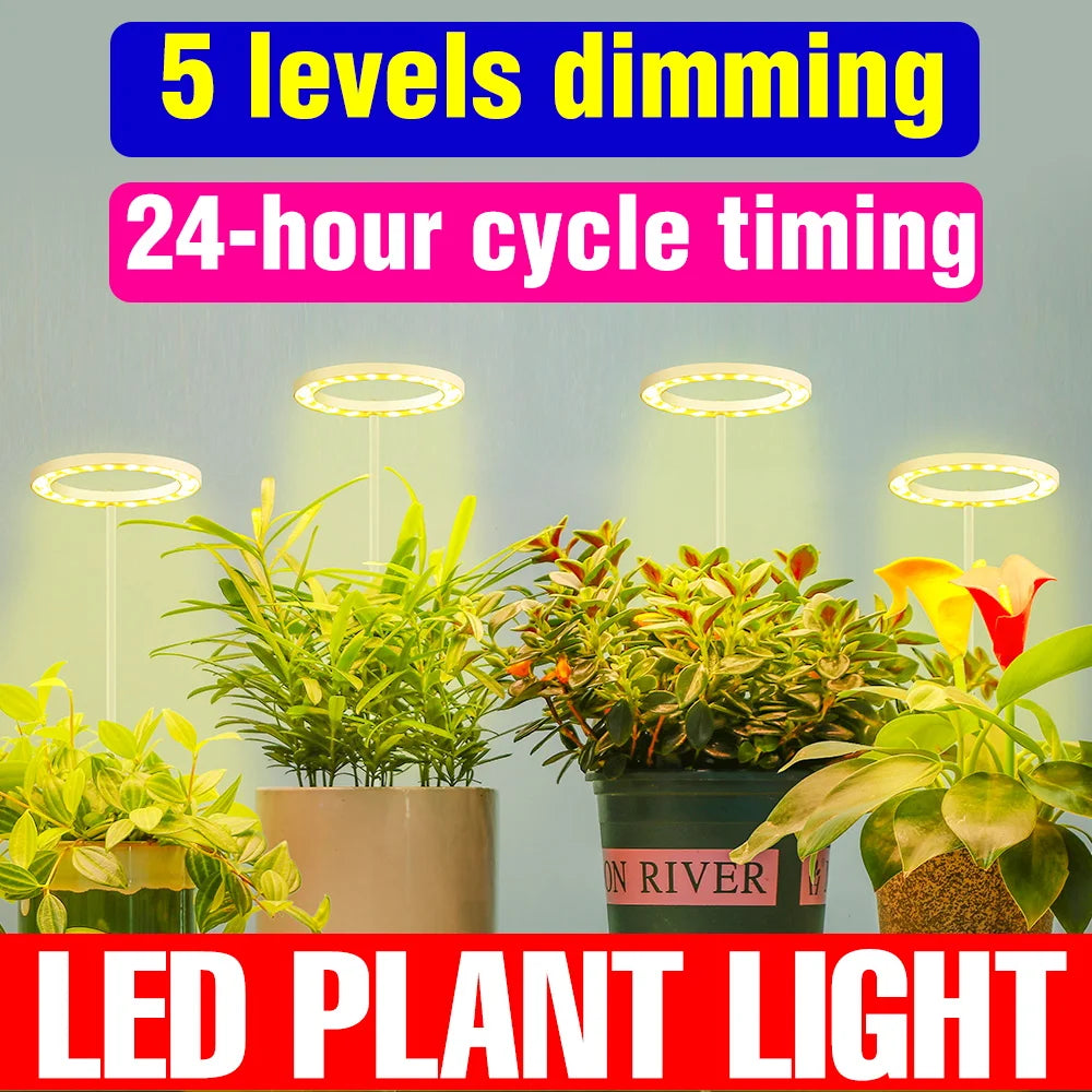 lampe led croissance plante circulaire diodes blanc moderne anneau flexible réglable temps