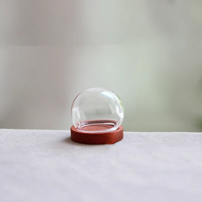 vase boule verre transparent base bois couvercle fleurs séchées