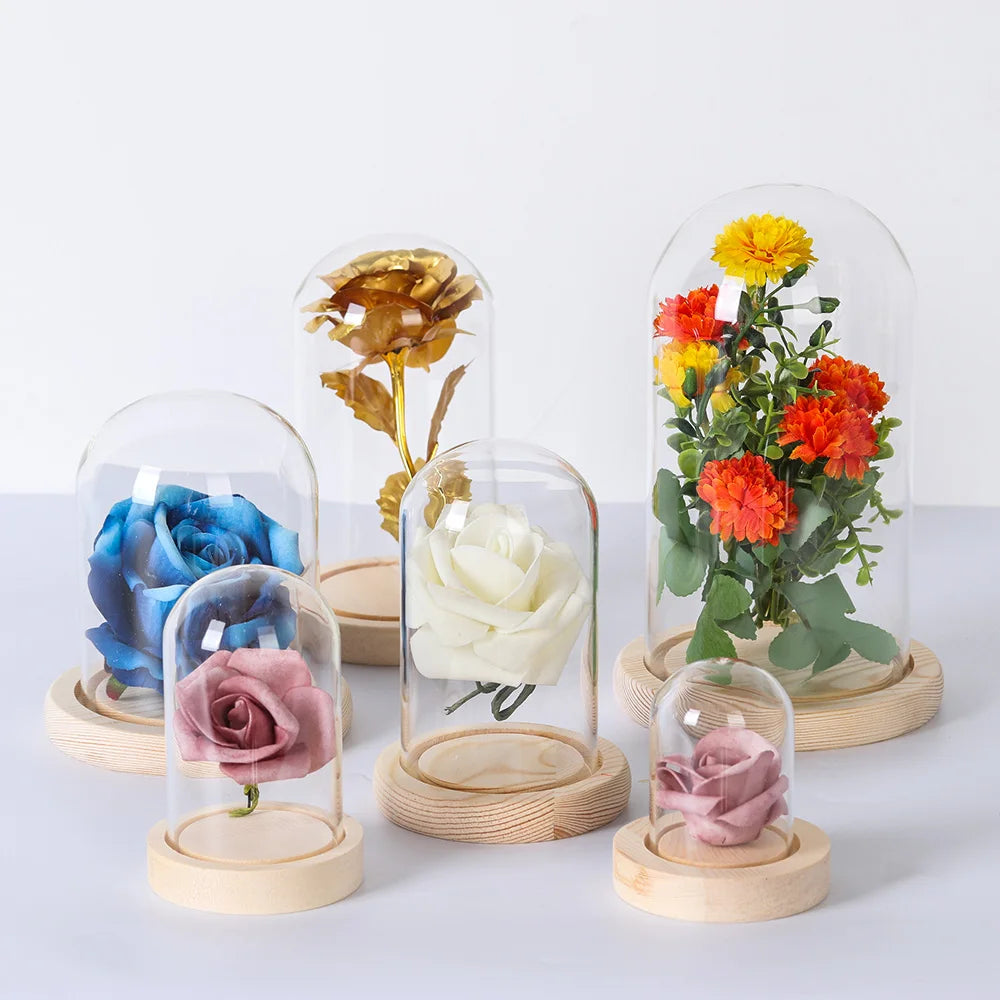 cloche verre transparent boîte fleurs couvercle anti poussière base bois moderne vase décoration intérieure