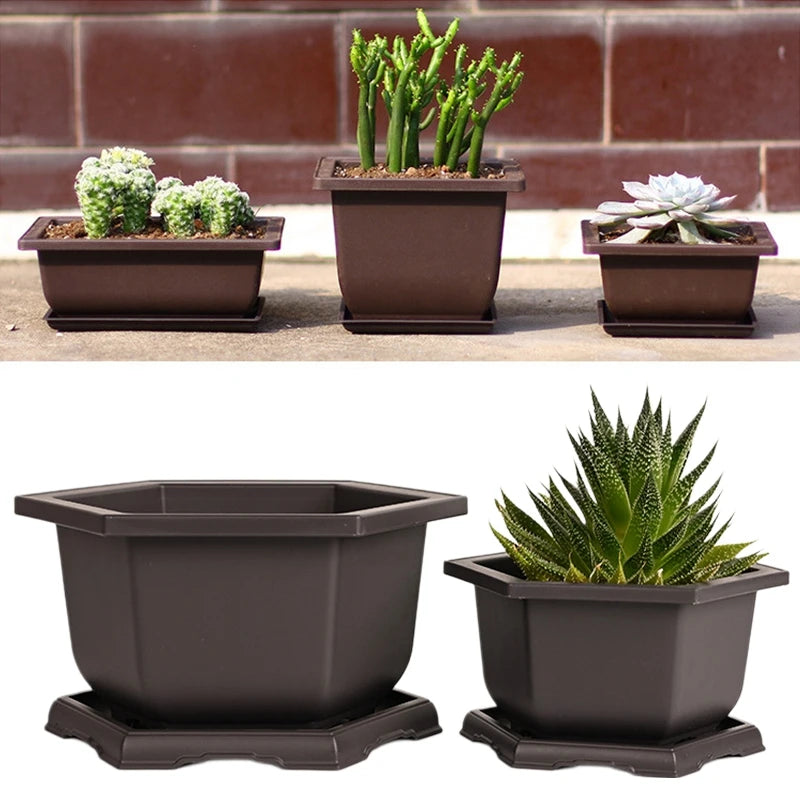 pot plante jardin extérieur marron moderne grille drainage fleurs succulentes bonsaï