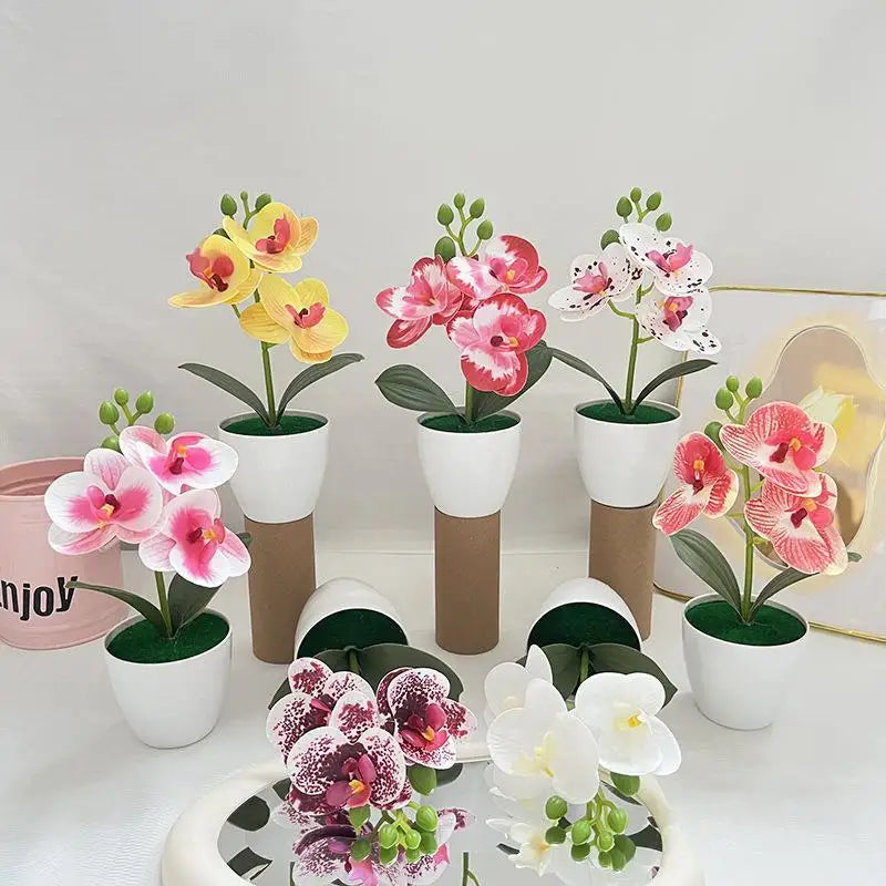 fleurs orchidées artificielles pot blanc moderne minimaliste blanc rose vert