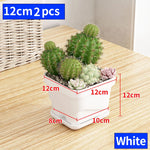 petit pot fleurs blanc plastique moderne cactus succulentes plateau intégré