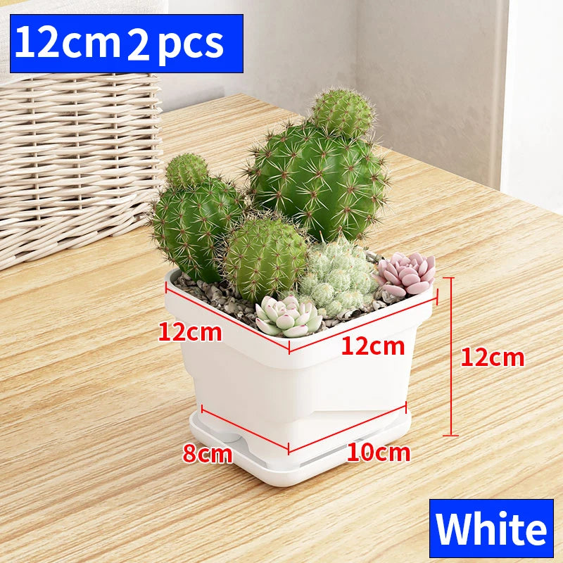 petit pot fleurs blanc plastique moderne cactus succulentes plateau intégré