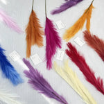 plumes décoratives intérieures violet bleu rose jaune orange blanc rouge naturel simple
