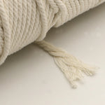 corde coton torsadée 3mm 4mm 5mm 6mm 10mm rustique sac vêtement textile maison