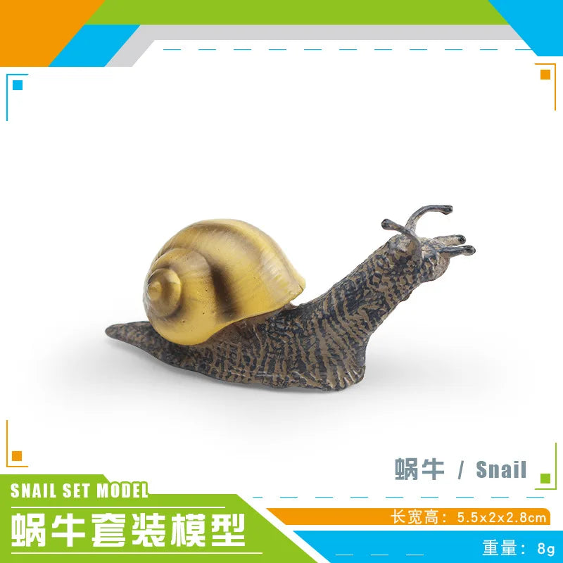 décoration miniature escargot coquille rayées réaliste couleur beige marron orange noir