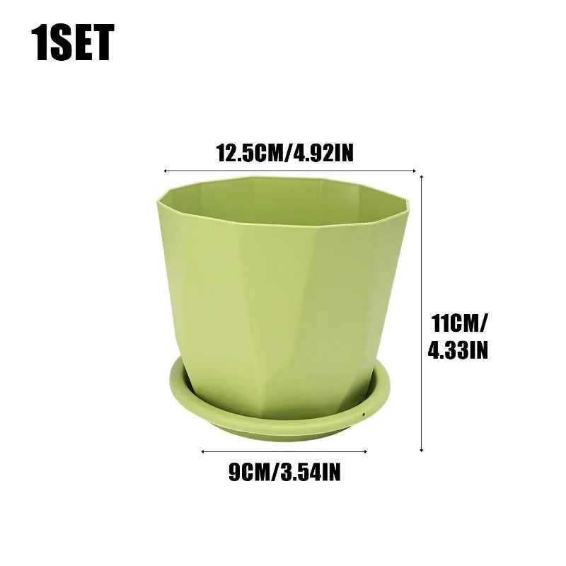 pots fleurs absorption eau succulentes intérieur décoration maison vert blanc moderne