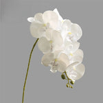 décoration intérieure orchidées artificielles 103cm rose blanc violet rouge moderne minimaliste