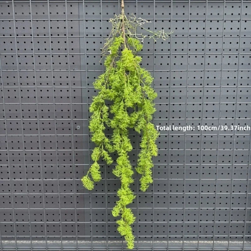 plantes suspendues vigne feuilles vertes rustiques extérieures accrochées naturellement exposéesextérieur decoration