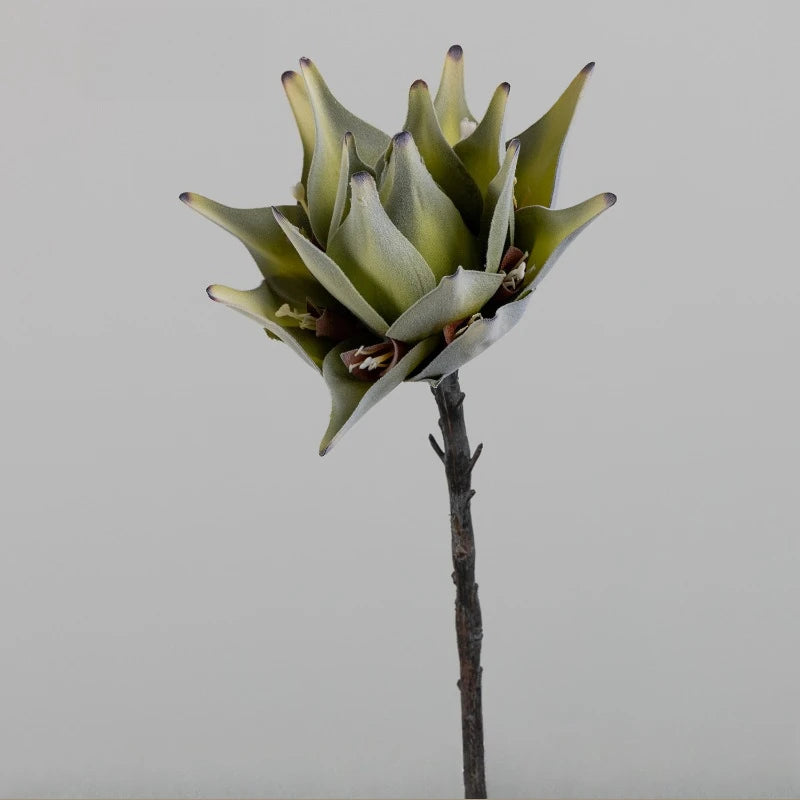 fleurs artificielles king protea blanc vert rose decoration maison anniversaire mariageintérieur
