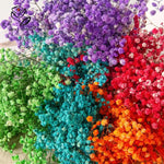 bouquet fleurs séchées mix couleur vase blanc décoration maison anniversaire baby shower naturel rustique