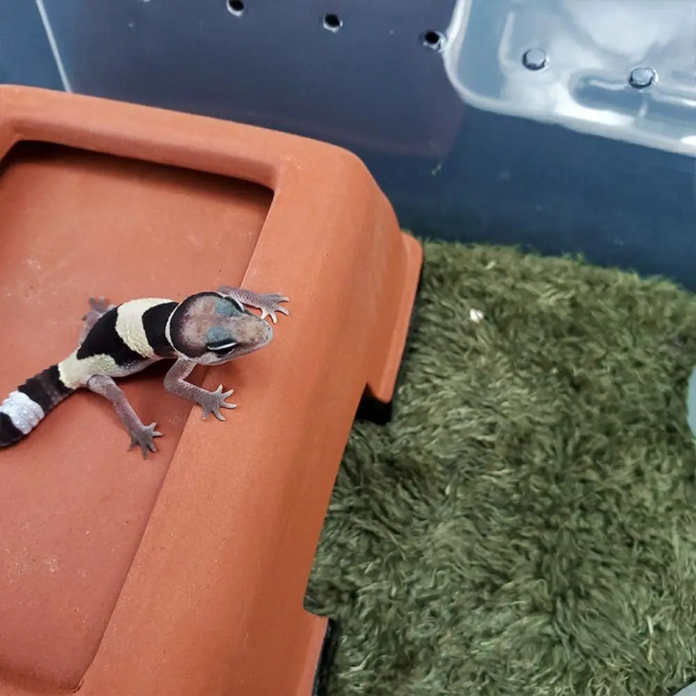 tapis reptile simulation herbe artificielle grenouille vert tortue jaune noir lézard rayé terrarium moderne