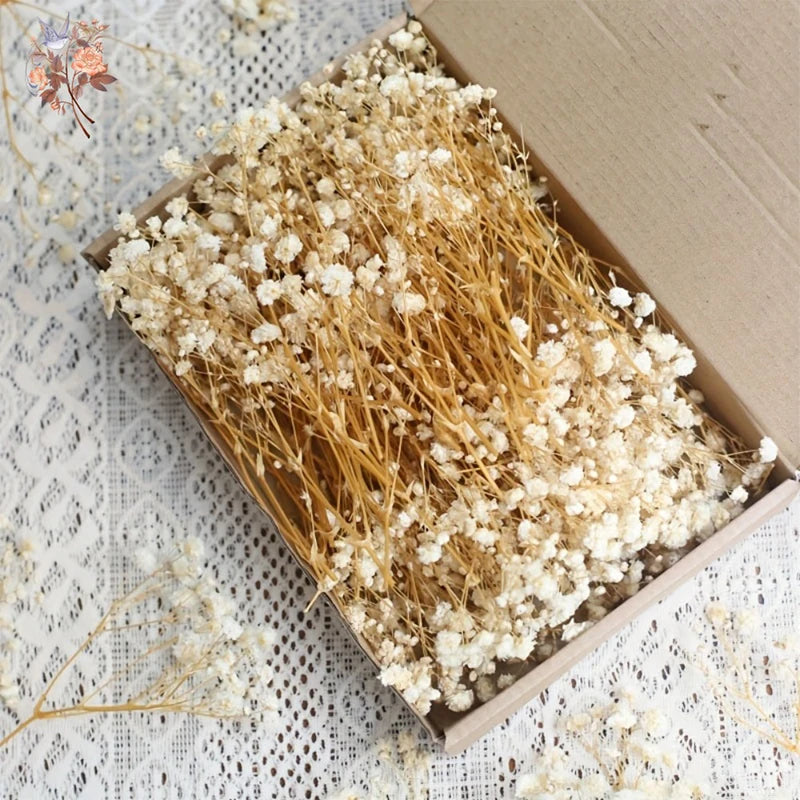 fleurs séchées bouquet blanc tiges dorées naturel rustique anniversaire décoration intérieure papier kraft boîte