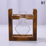 support plantes cadre bois marron verre transparent modernes vases coeurs plantes vertesintérieur décoration minimaliste