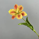 décoration intérieure bouquet fleurs artificielles tulipes violet orange jaune blanc marron réaliste