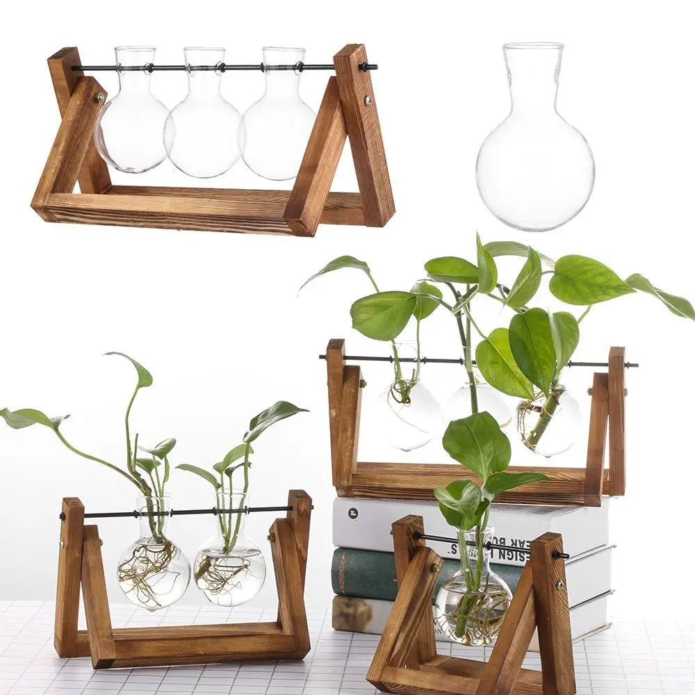 Vase hydroponique vintage en verre avec support bois rouge