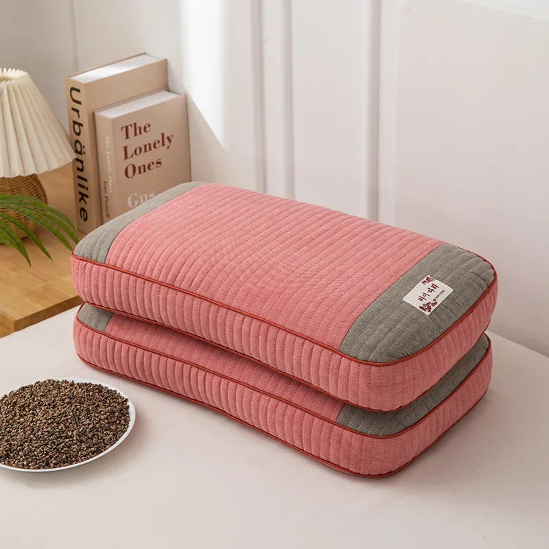 oreiller bleu rose gris vert rayures moderne coton bio hypoallergénique oblong catégorie