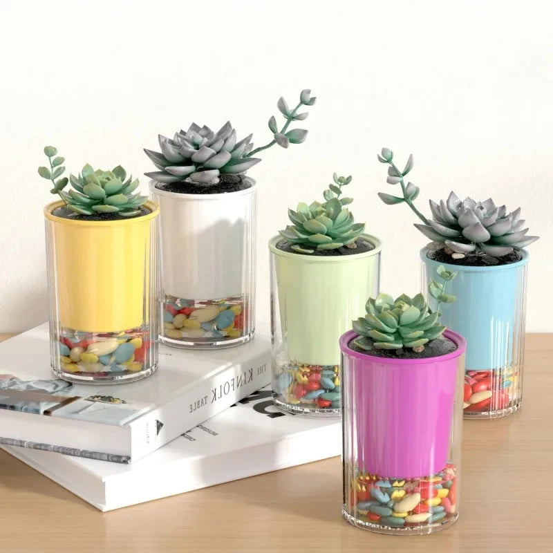 cache pot transparent moderne jaune blanc vert bleu violet adhésif intérieur maison grains colorés