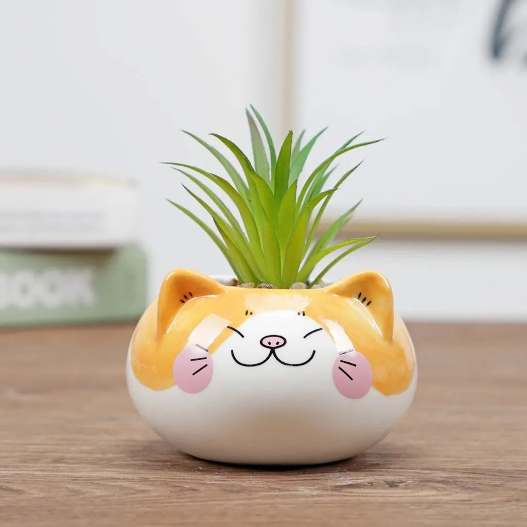 cache pot cartoon visage animé blanc rose jaune noir succulente décoration table adultes unisexe