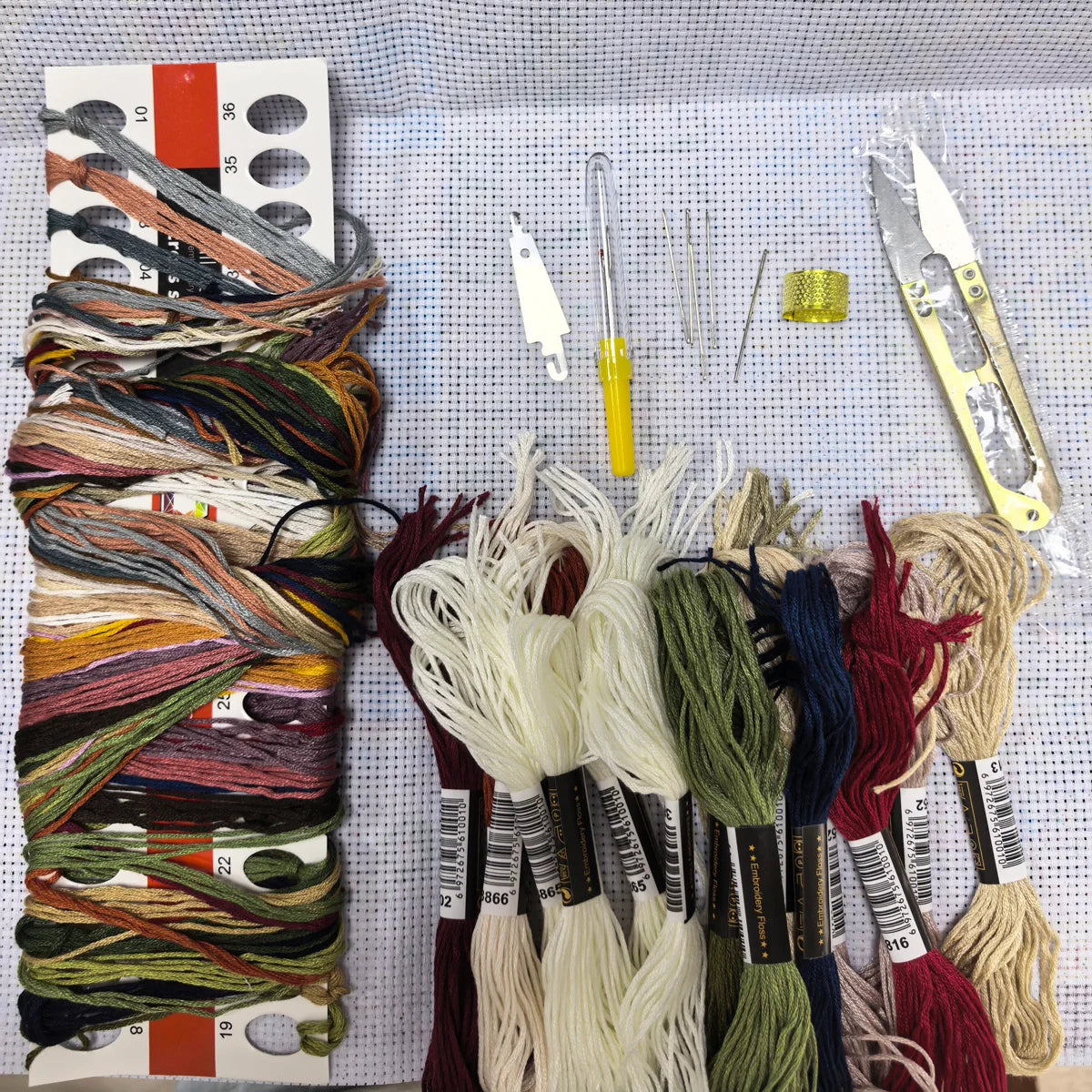 kit broderie personnalisable fleurs livres papillons tissu aida multicolore instructions outils fil aiguille ciseaux