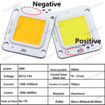 source LED 40W blanc chaud froid 46x40mm moderne matrice diodes aluminium