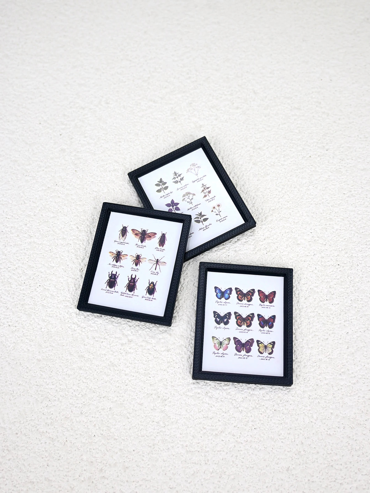 cadre photo miniature papillons insectes noir adhésif décoration halloween pâques micro paysages accessoire photo