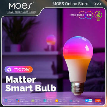ampoule led intelligente e27 multicolore contrôlée vocalement alexandre google moderne