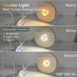 bases lumineuses décoratives modernes bois naturel couleurs variées télécommande optionnelle led usb blanc chaud