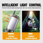 lampe solaire portable rechargeable usb noir bleu transparent moderne