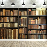 bibliothèque murale moderne rayées couleurs vives livres décorative grande taille