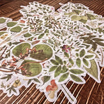 autocollants stickers végétaux fleurs feuilles oiseaux horloges mandalas papillons vintage romantique adhésifs